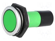 Indicator: LED; flat; green; 230VAC; Ø30.2mm; IP67; connectors SIGNAL-CONSTRUCT