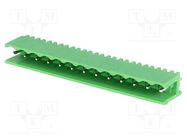 Pluggable terminal block; Contacts ph: 5.08mm; ways: 13; straight NINIGI