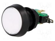 Switch: push-button; Pos: 2; SPDT; 10A/250VAC; ON-(ON); Illumin: LED HIGHLY ELECTRIC