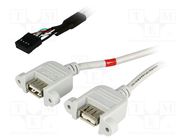 Adapter; USB 2.0; USB A socket x2,5pin pin header x2; 0.5m BQ CABLE
