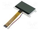 Display: LCD; graphical; 128x64; COG,FSTN Positive; LED; PIN: 30 RAYSTAR OPTRONICS