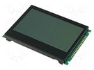 Display: LCD; graphical; 240x160; COG,FSTN Positive; LED; PIN: 16 RAYSTAR OPTRONICS