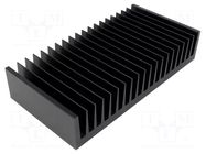 Heatsink: extruded; grilled; universal; black; L: 100mm; W: 200mm FISCHER ELEKTRONIK