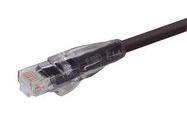 ENET CORD, CAT6, RJ45 PLUG-PLUG, 20'