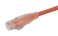 ENET CORD, CAT5E, RJ45 PLUG-PLUG, 10'