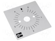 Scale for mechanical timer FAUCIGNY INSTRUMENTS