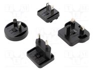 Adapter; Plug: EU MEAN WELL