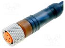 Connector: M8; 2m; female; PIN: 4; straight; plug; PUR LUMBERG AUTOMATION