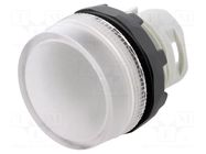 Control lamp; 22mm; ML1; Illumin: MLB-1; Ø22.5mm; IP66; transparent ABB