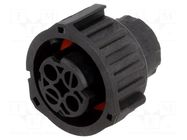 Connector: circular; plug; female; 2.5mm System; PIN: 2; for cable TE Connectivity