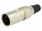 Plug; XLR; male; PIN: 5; straight; for cable; soldering; gold-plated DELTRON