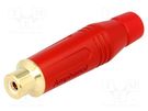 Plug; RCA; female; straight; soldering; red; gold-plated; for cable AMPHENOL