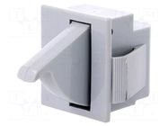 Switch: door; Pos: 2; SPDT; 5A/250VAC; Leads: connectors; Body: grey BULGIN