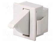 Switch: door; Pos: 2; SPDT; 5A/250VAC; Leads: connectors; Body: white BULGIN