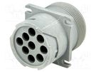 Connector: wire-wire; AHD; male; socket; for panel mounting; PIN: 9 AMPHENOL
