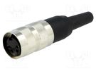 Connector: M16; plug; female; soldering; for cable; PIN: 2; 5A; 300V AMPHENOL
