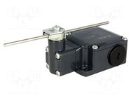 Limit switch; adjustable plunger, length R 19-116mm; NO + NC PIZZATO ELETTRICA
