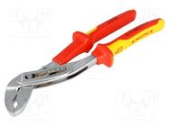 Pliers; aligator type; chrome-vanadium steel; Pliers len: 250mm KNIPEX