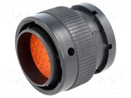 Connector: automotive; terminals, size 16; plug; male; XRC; PIN: 31 MOLEX