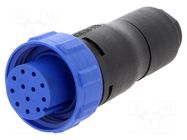 Connector: circular; plug; female; PIN: 12; 50V; w/o contacts; IP68 BULGIN
