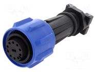 Connector: circular; plug; female; PIN: 10; 10A; 250V; Buccaneer 900 BULGIN