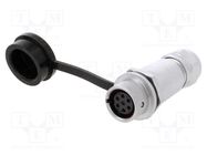 Plug; SF12; female; PIN: 7; IP67; 4÷6.5mm; 5A; soldering; for cable WEIPU