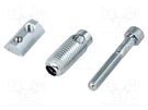 Mounting screw; for profiles; Width of the groove: 8mm; steel FATH