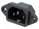 Connector: AC supply; socket; male; 10A; 250VAC; IEC 60320; 6061 SCHURTER