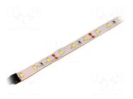 LED tape; white cold; 2835; LED/m: 60; 10mm; 120°; 14.4W/m; 12VDC OPTOFLASH