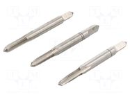 Kit: taps; for blind holes,to the through holes; L: 45mm; Ø: 3.3mm ALPEN-MAYKESTAG