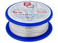 Silver plated copper wires; 1.2mm; 100g; Cu,silver plated; 9.5m BQ CABLE