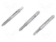 Kit: taps; for blind holes,to the through holes; L: 40mm; Ø: 2.5mm ALPEN-MAYKESTAG