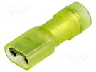 Terminal: flat; 6.3mm; 0.8mm; female; 4÷6mm2; crimped; for cable BM GROUP