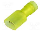 Terminal: flat; 6.3mm; 0.8mm; male; 4÷6mm2; crimped; for cable; 300V BM GROUP