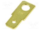 Terminal: flat; 6.3mm; 0.8mm; male; M4; non-insulated; screw; brass BM GROUP