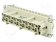 Connector: HDC; contact insert; female; C146,heavy|mate; PIN: 24 AMPHENOL