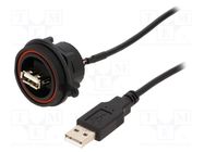 Cable; USB Buccaneer; USB A socket-front,USB A plug; IP68; 0.5m BULGIN