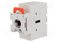 Switch-disconnector; Poles: 3; for DIN rail mounting,screw type LOVATO ELECTRIC