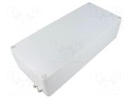Enclosure: multipurpose; X: 160mm; Y: 360mm; Z: 90mm; ATEX; aluminium RAYCHEM RPG
