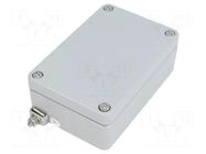 Enclosure: multipurpose; X: 64mm; Y: 98mm; Z: 34mm; ATEX; aluminium RAYCHEM RPG