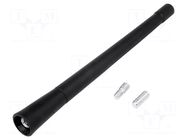 Antenna mast; 0.17m; M5,M6; outside; Honda,Mercedes,Toyota,VW PER.PIC.