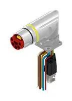 CBL ASSY, 10P CIR RCPT-RJ45 PLUG, 0.5M