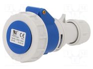 Connector: AC supply; plug; female; 16A; 400VAC; IEC 60309; IP67 PAWBOL