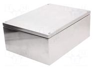 Enclosure: multipurpose; X: 300mm; Y: 400mm; Z: 161mm; natural; IP66 RAYCHEM RPG