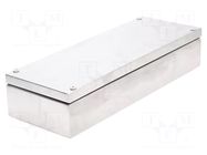 Enclosure: multipurpose; X: 150mm; Y: 400mm; Z: 81mm; natural; IP66 RAYCHEM RPG