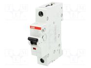 Circuit breaker; 230/400VAC; Inom: 10A; Poles: 1; Charact: C; 6kA ABB