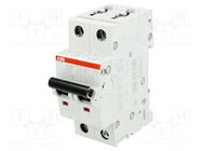 Circuit breaker; 230/400VAC; Inom: 10A; Poles: 2; Charact: C; 6kA ABB