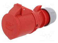 Connector: AC supply 3-phase; socket; female; 32A; 400VAC; Shark PCE