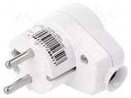 Connector: AC supply; male + female; plug/socket; 2P+PE; 250VAC PCE