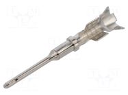 Contact; male; 20; ATM; nickel plated; 22AWG÷20AWG; reel; crimped AMPHENOL